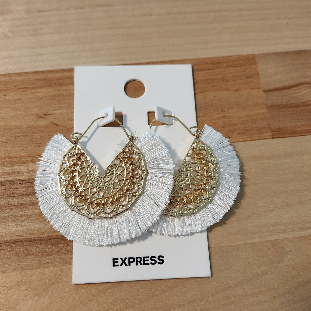 Express Earrings